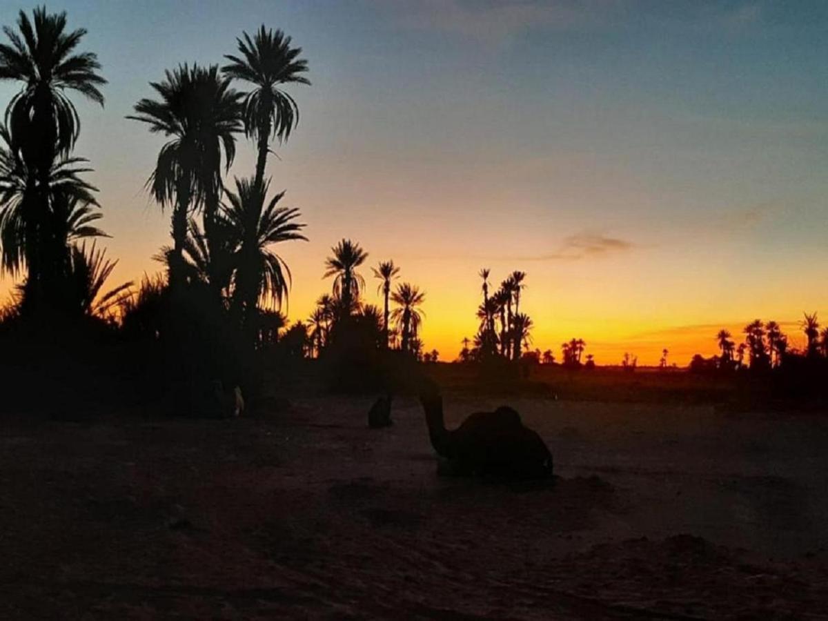 M'Hamid Desert Camp Tours Exterior photo